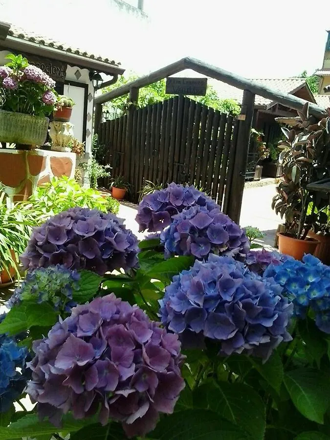 Bed & Breakfast Cabanas Valle Verde Moya