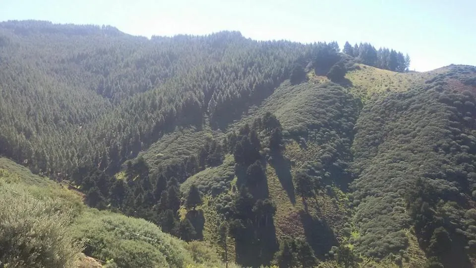 Moya  Cabanas Valle Verde
